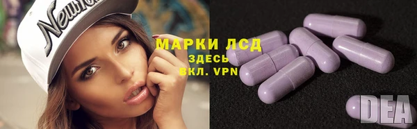 ECSTASY Армянск