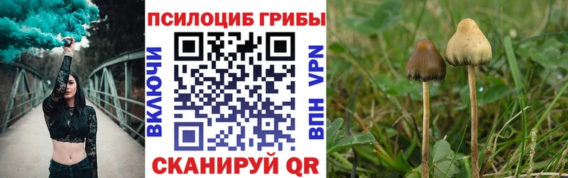 Галлюциногенные грибы мухоморы  дарк нет какой сайт  Бакал 