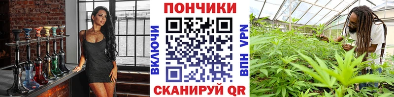 купить  сайты  Бакал  МАРИХУАНА SATIVA & INDICA 